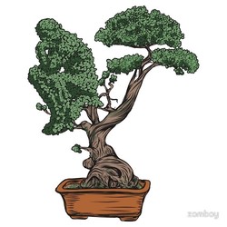 Thinking Bonsai