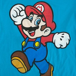 Nintendo Mario Super Pose