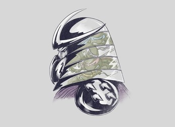 Enemy Reflections